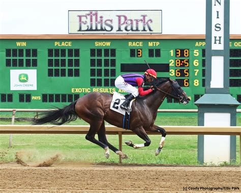 twinspires horse race betting|TwinSpires Horse Race Betting 17+ .